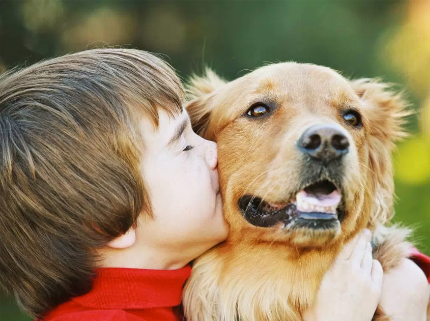 Sinais que o seu cãozinho da