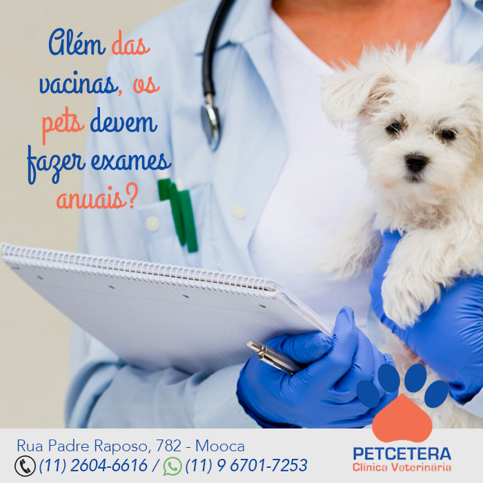 Além das vacinas, os pets devem fazer exames anuais?